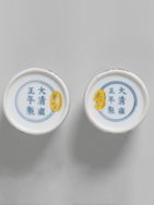 Pair of Doucai Porcelain Waterpots