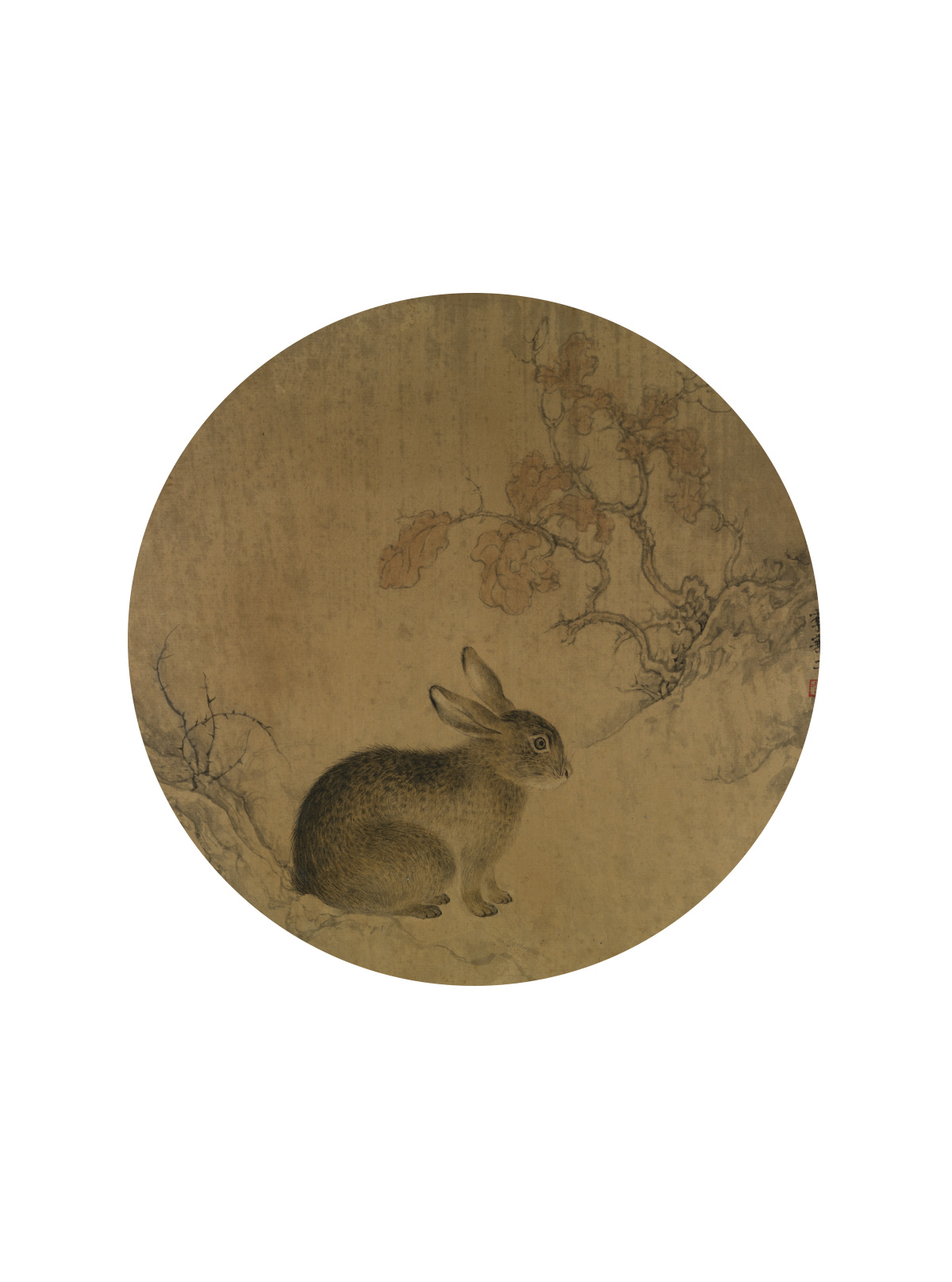 The Rabbit