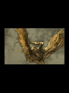 7. Lingering Light