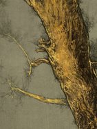 7. Lingering Light