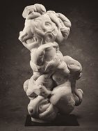 Cat no. 12