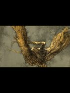 7. Lingering Light
