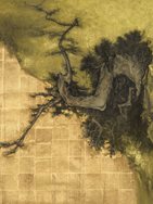 5. Mountain Pine